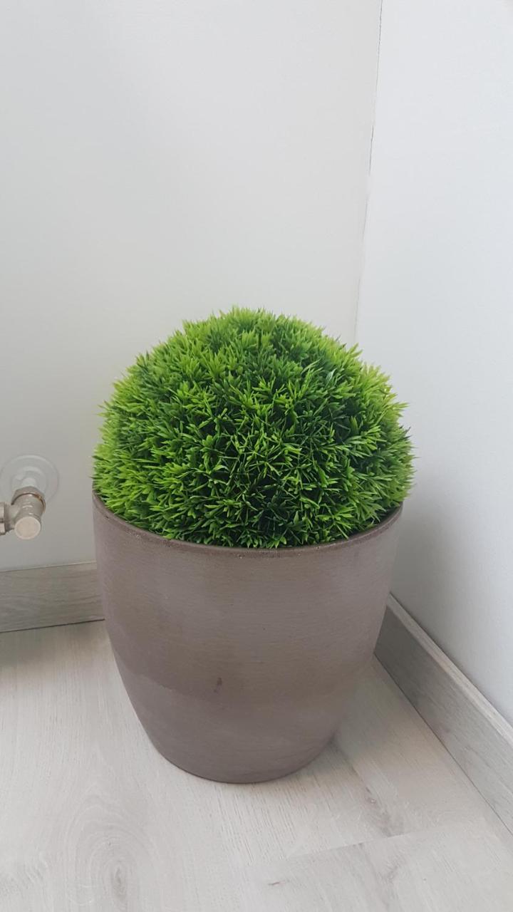 Promenad Apartman Mohacs Luaran gambar